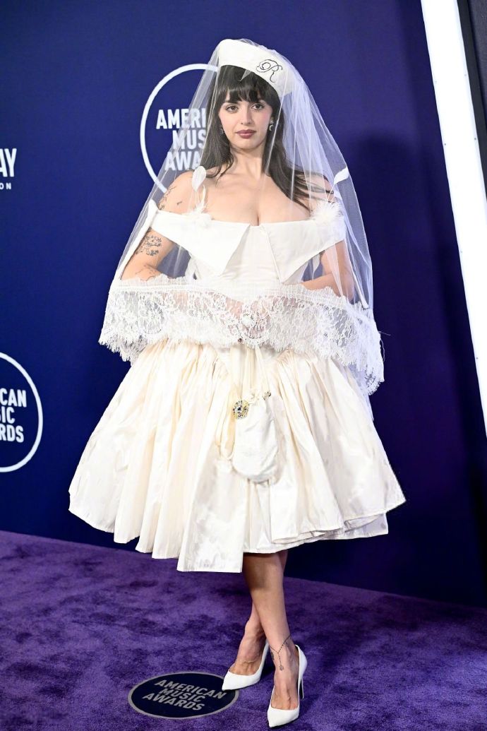 Elegant Dress paired with Veil