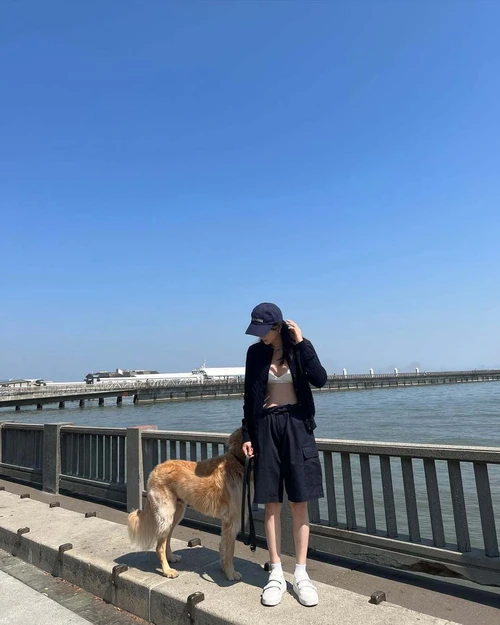Casual Navy Ensemble with a Sporty Touch: Jacket, Shorts, and Cap Style