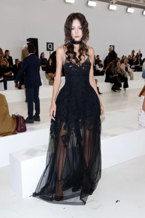 Elegant Black Lace Dress with Sheer Skirt and Choker Accessory for a Sophisticated Look